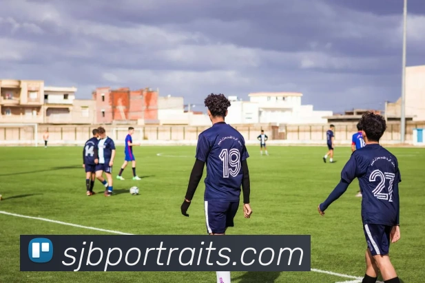 开云平台生态图